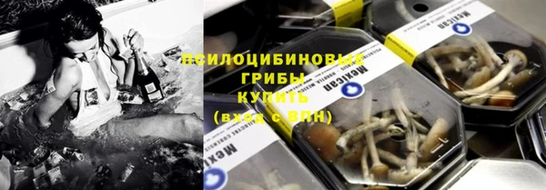бошки Арсеньев